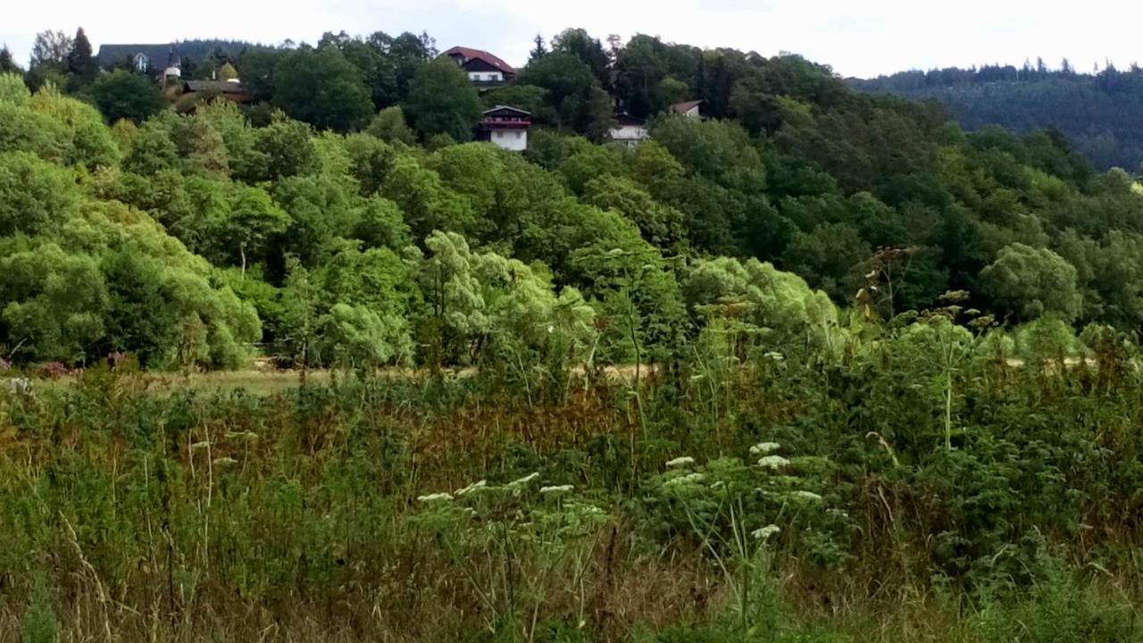 Ferienhaus Im Ederbergland Villa Hatzfeld Kültér fotó